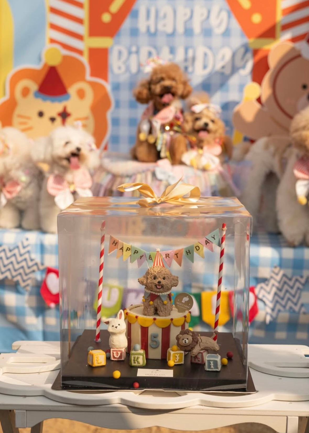BESPOKE 3D CAKE // pet cake