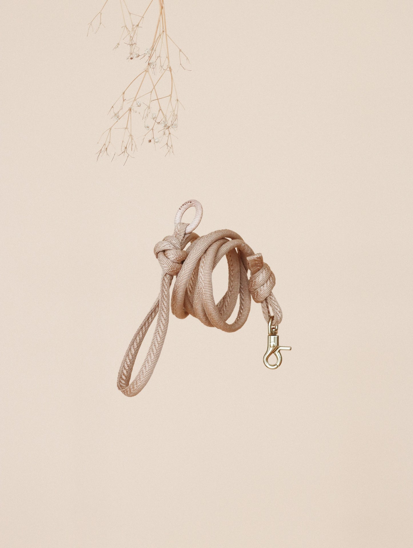 FIÏN // regular leash