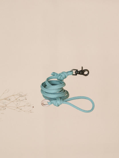FIÏN // regular leash