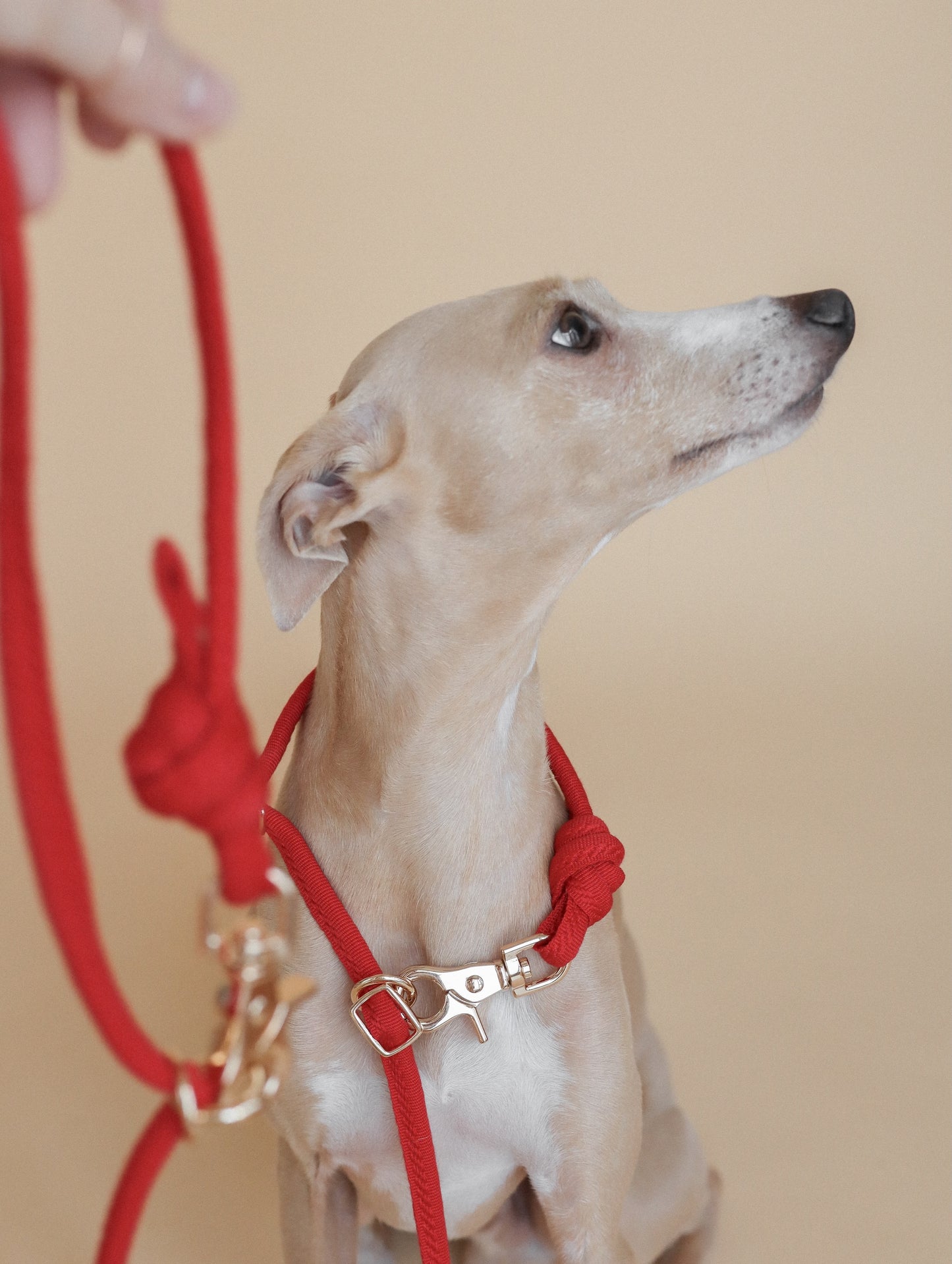 LINJE // crossbody leash