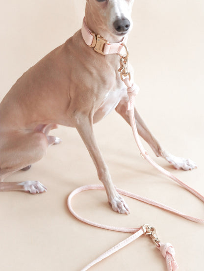LINJE // crossbody leash