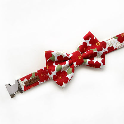 MIKA RED // bow
