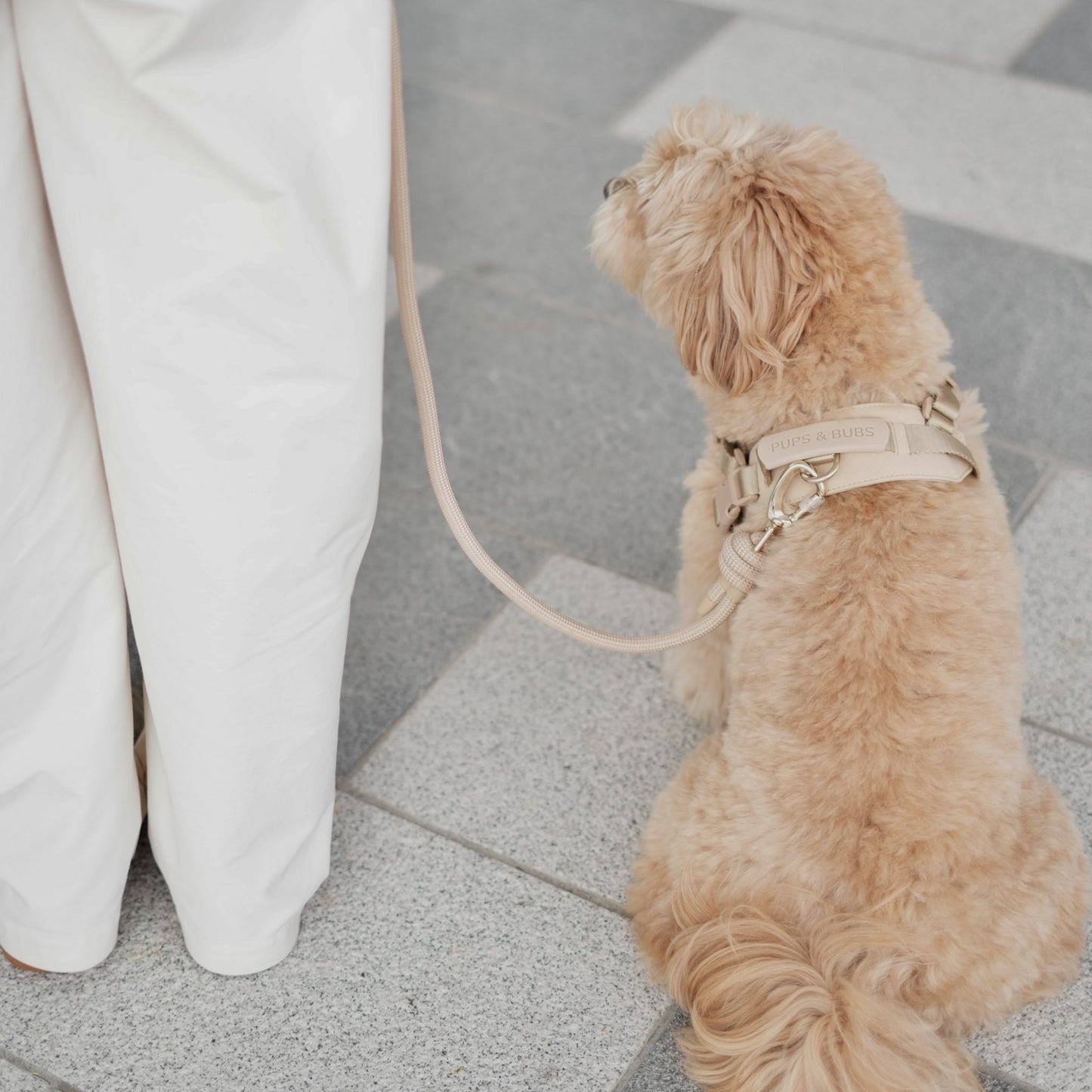 ROVER // crossbody leash