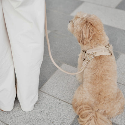 ROVER // crossbody leash