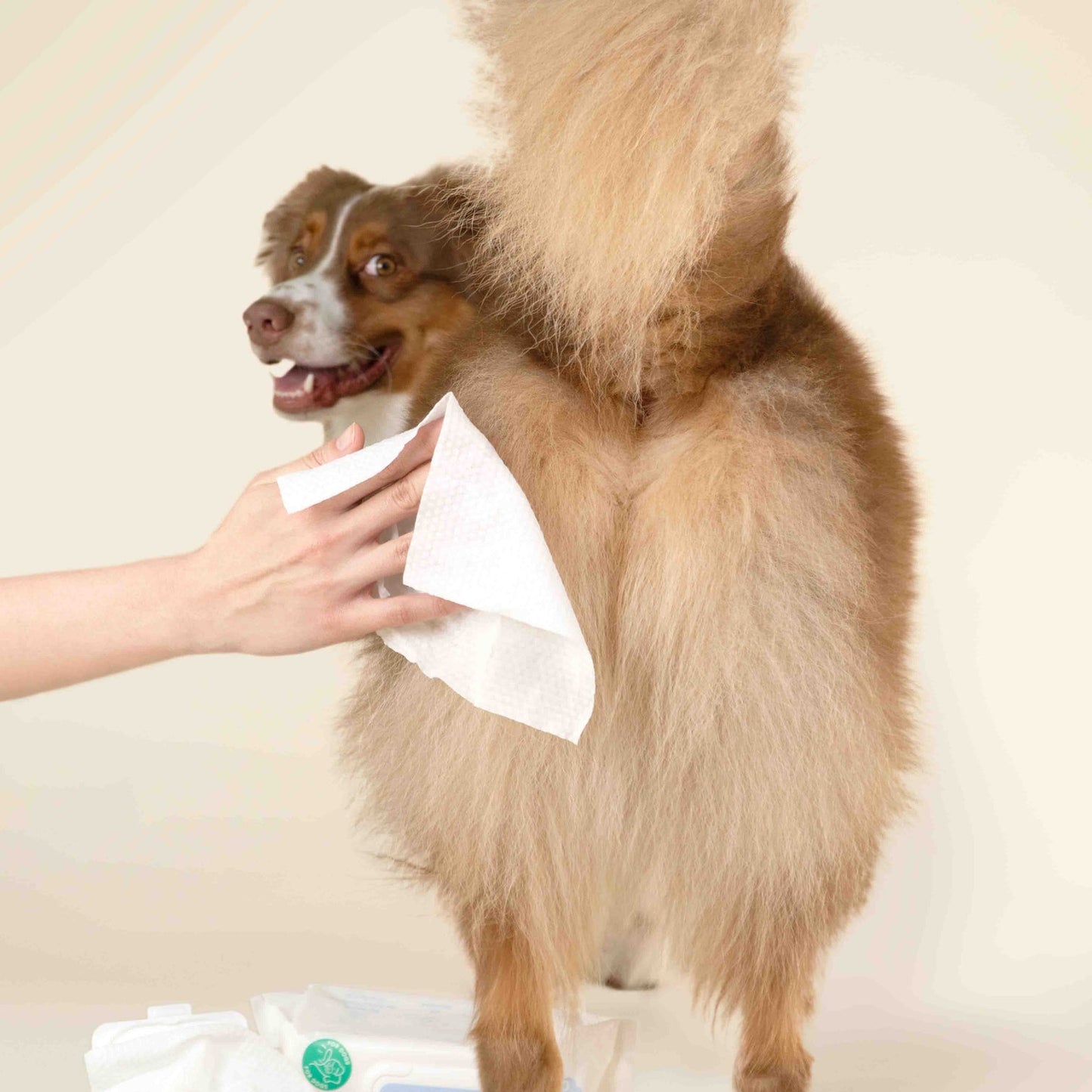 Gentle Cleansing Wet Wipes for Dogs & Cats