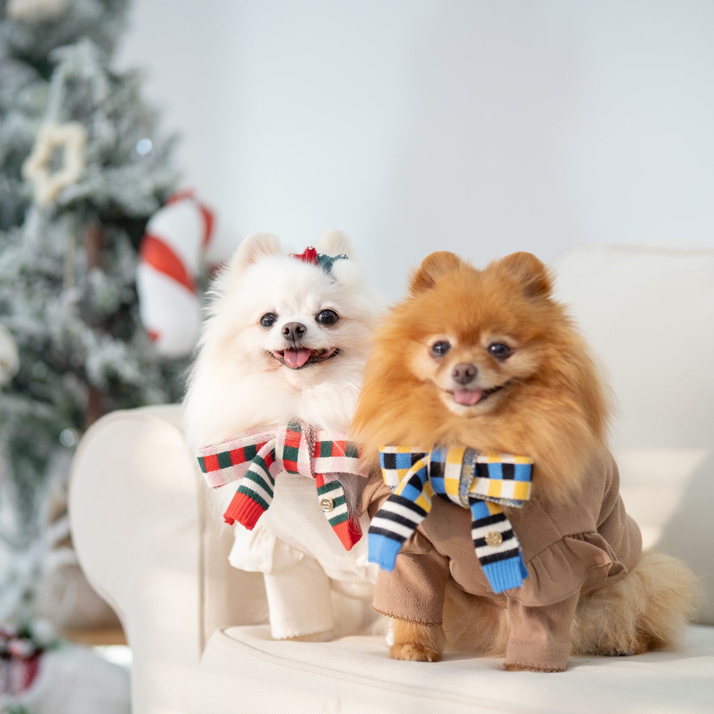 CHECKERED SCARF // pet & hooman scarf