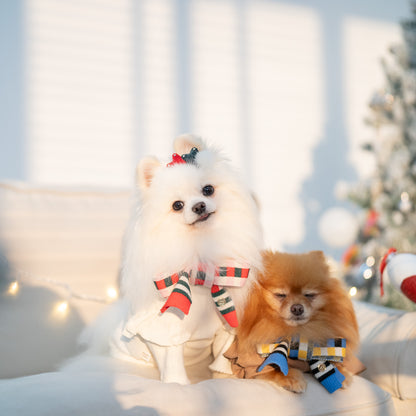 CHECKERED SCARF // pet & hooman scarf