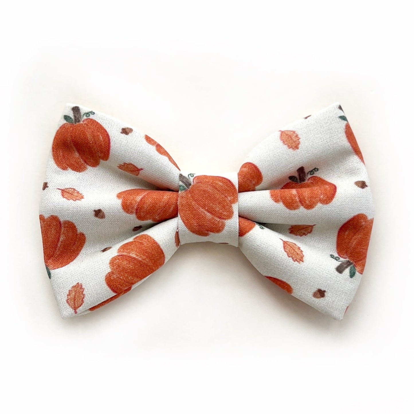 PUMPKIN SEASON // bow