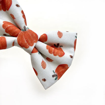 PUMPKIN SEASON // bow