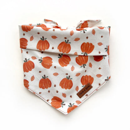 PUMPKIN SEASON // bandana
