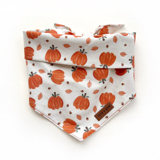 PUMPKIN SEASON // bandana