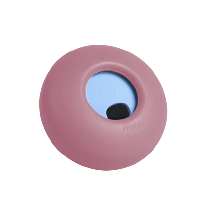 PEBBLE // enrichment toy