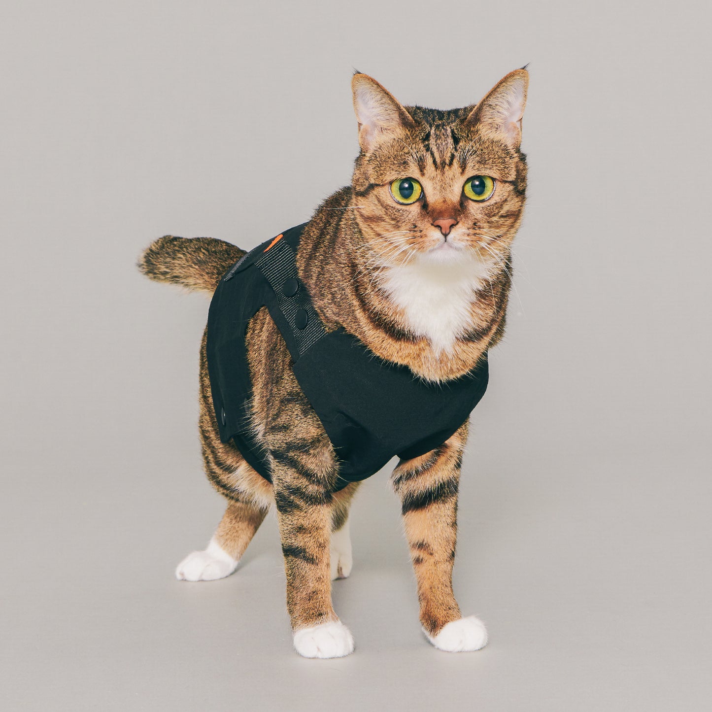 Yama Paws Technical Vest