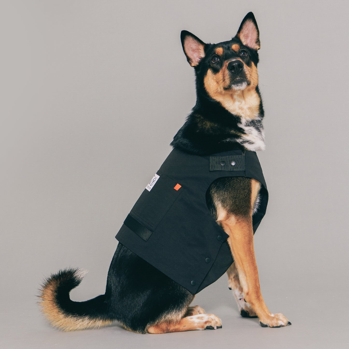 Yama Paws Technical Vest