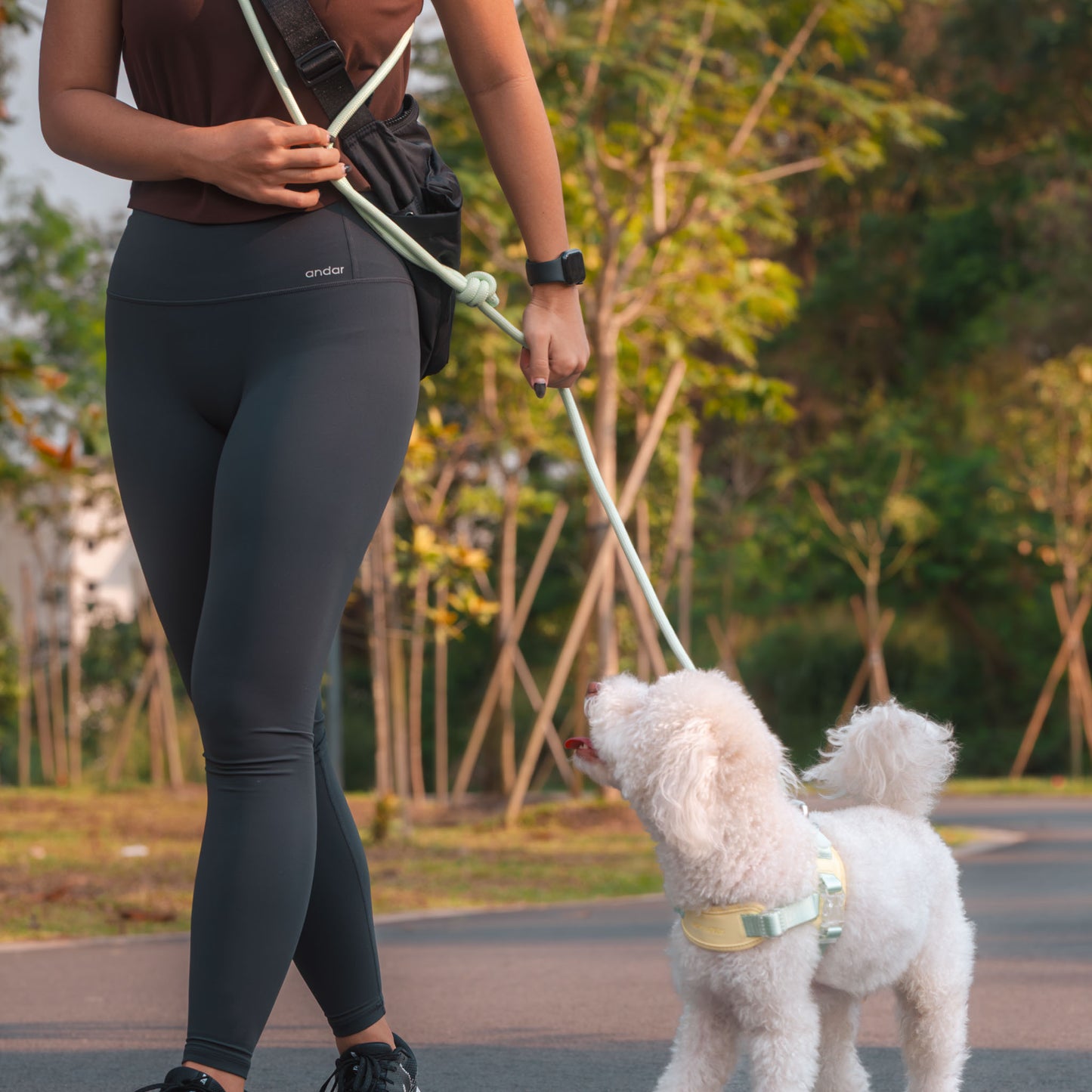 ROVER // crossbody leash