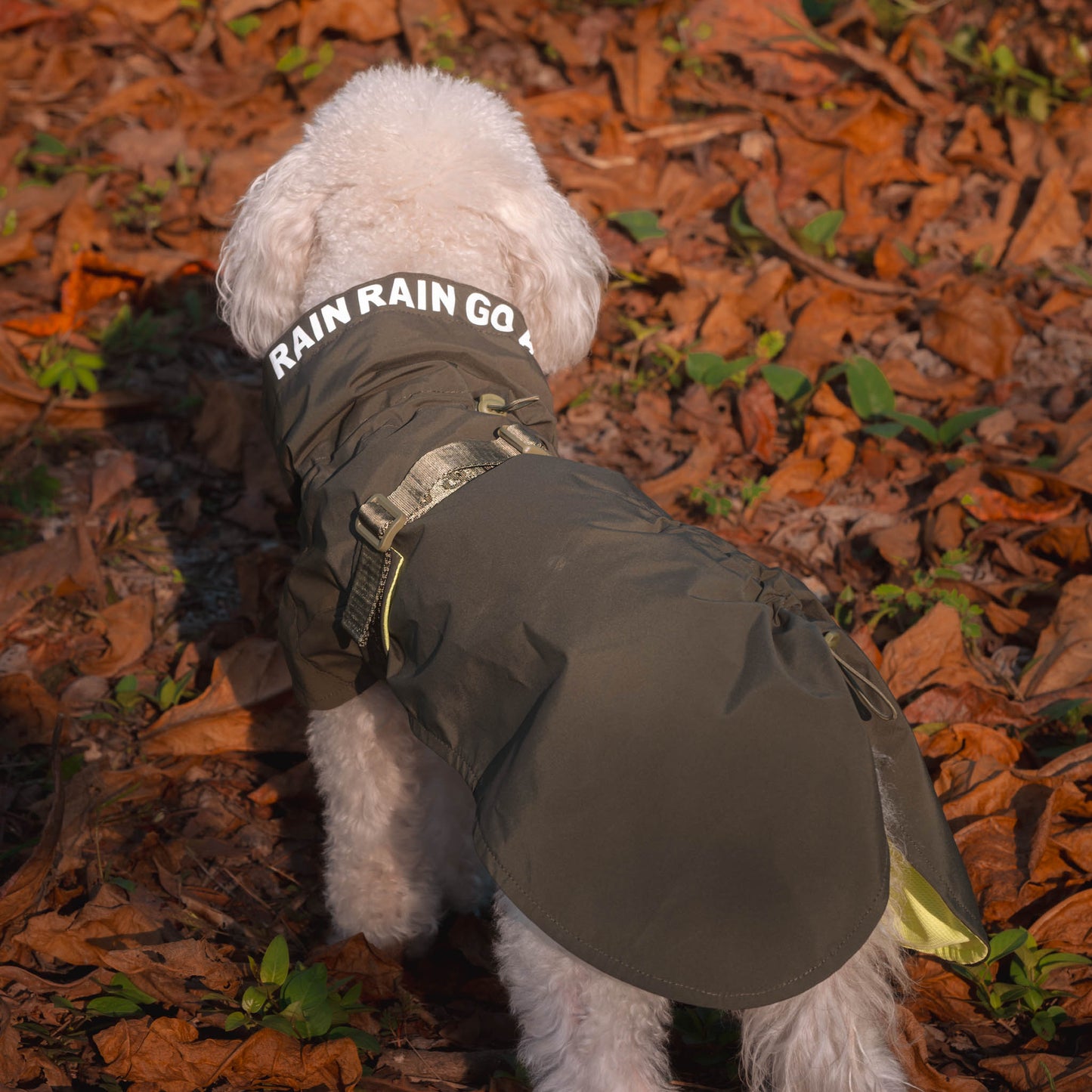 LUMI // raincoat