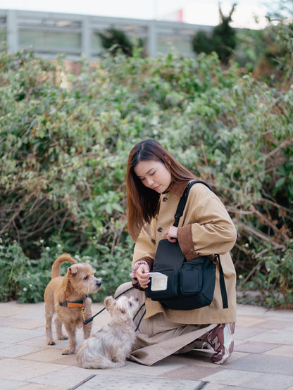 STROLL & GO // walking bag