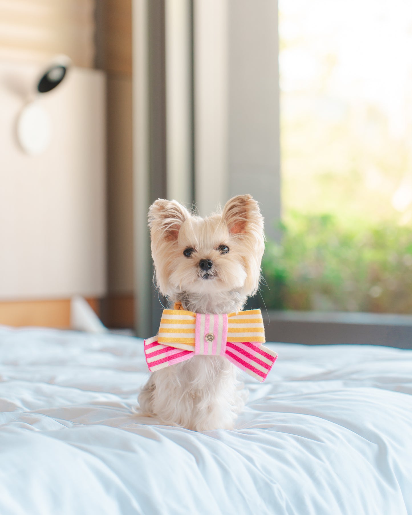 MANGO PUNCH // knitted bow