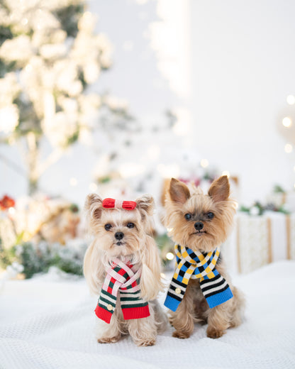 CHECKERED SCARF // pet & hooman scarf