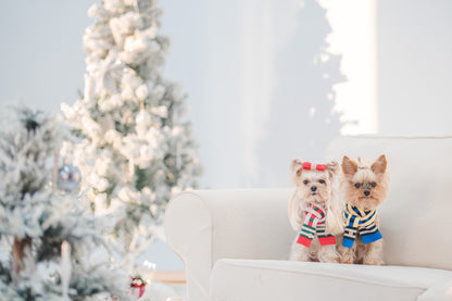 CHECKERED SCARF // pet & hooman scarf