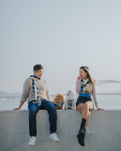 CHECKERED SCARF // pet & hooman scarf