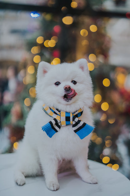 CHECKERED SCARF // pet & hooman scarf