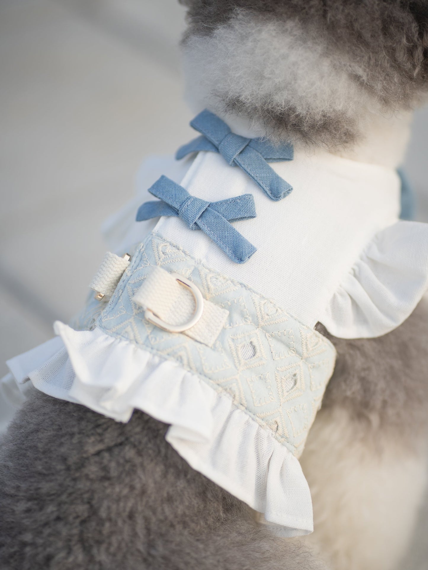 BLUEBELL // harness vest