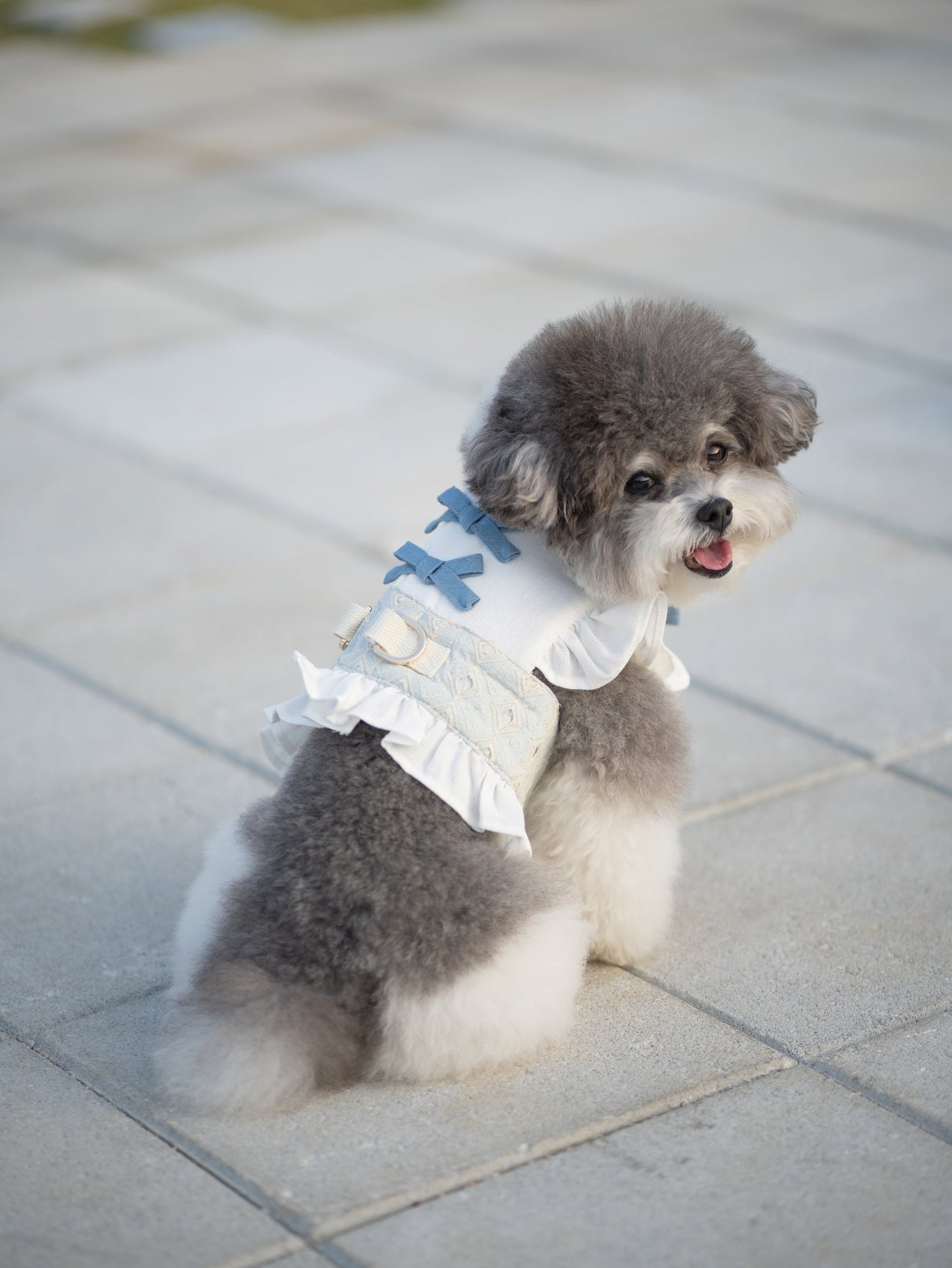 BLUEBELL // harness vest