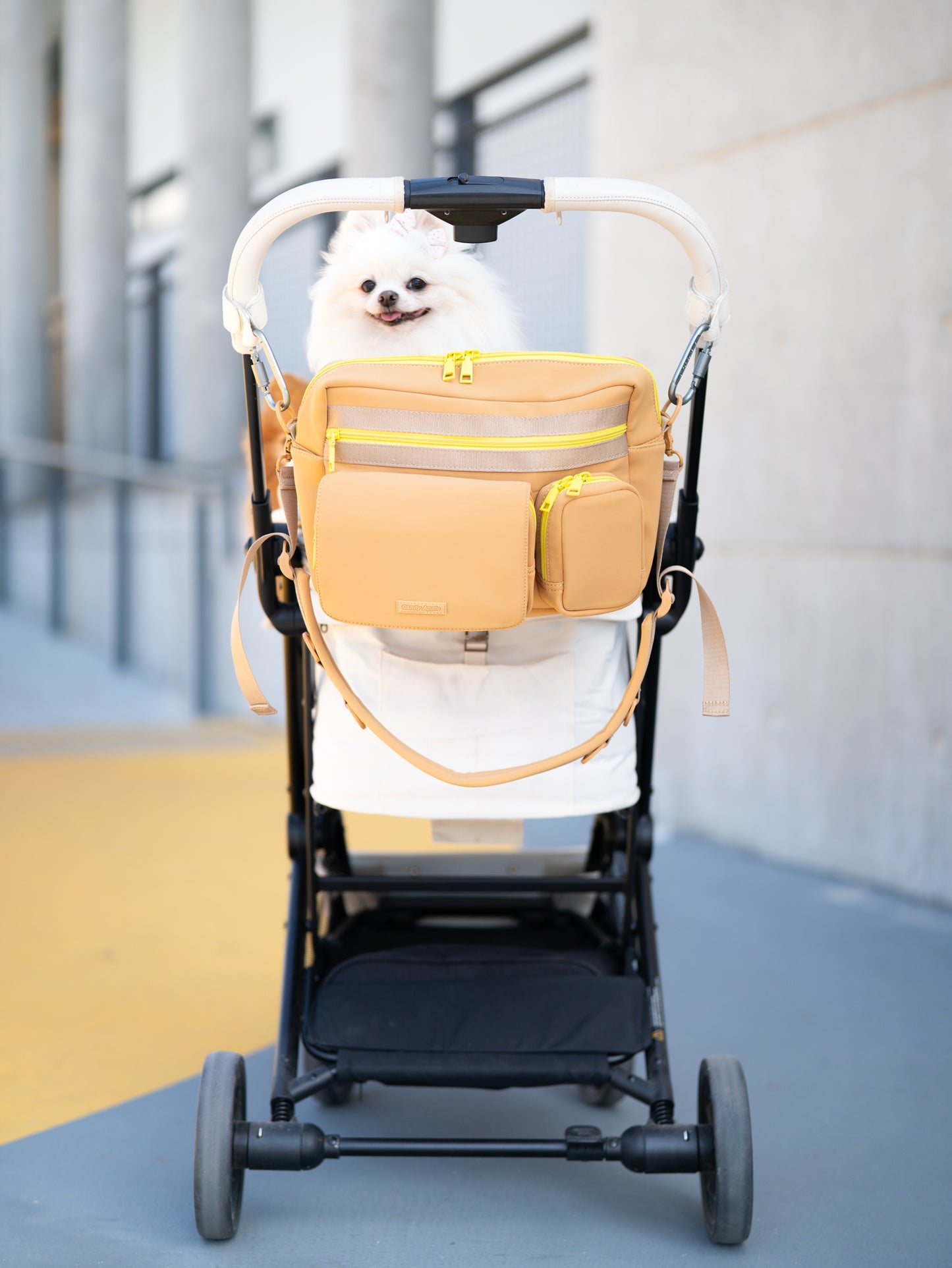 STROLL & GO // walking bag