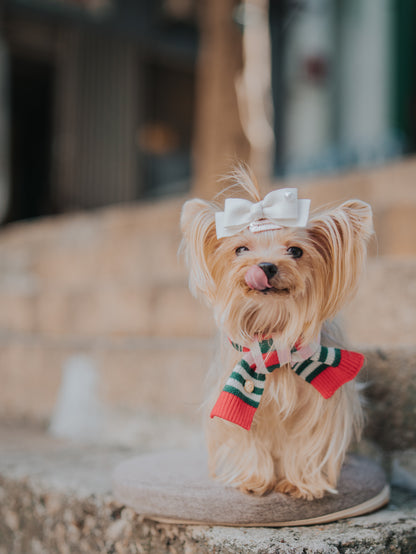 CHECKERED SCARF // pet & hooman scarf