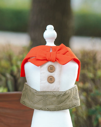 SAFARI // harness vest