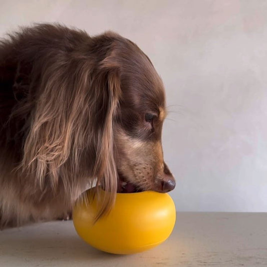 PEBBLE // enrichment toy