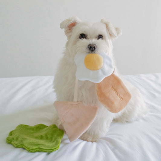 PITA POCKET // nosework toy