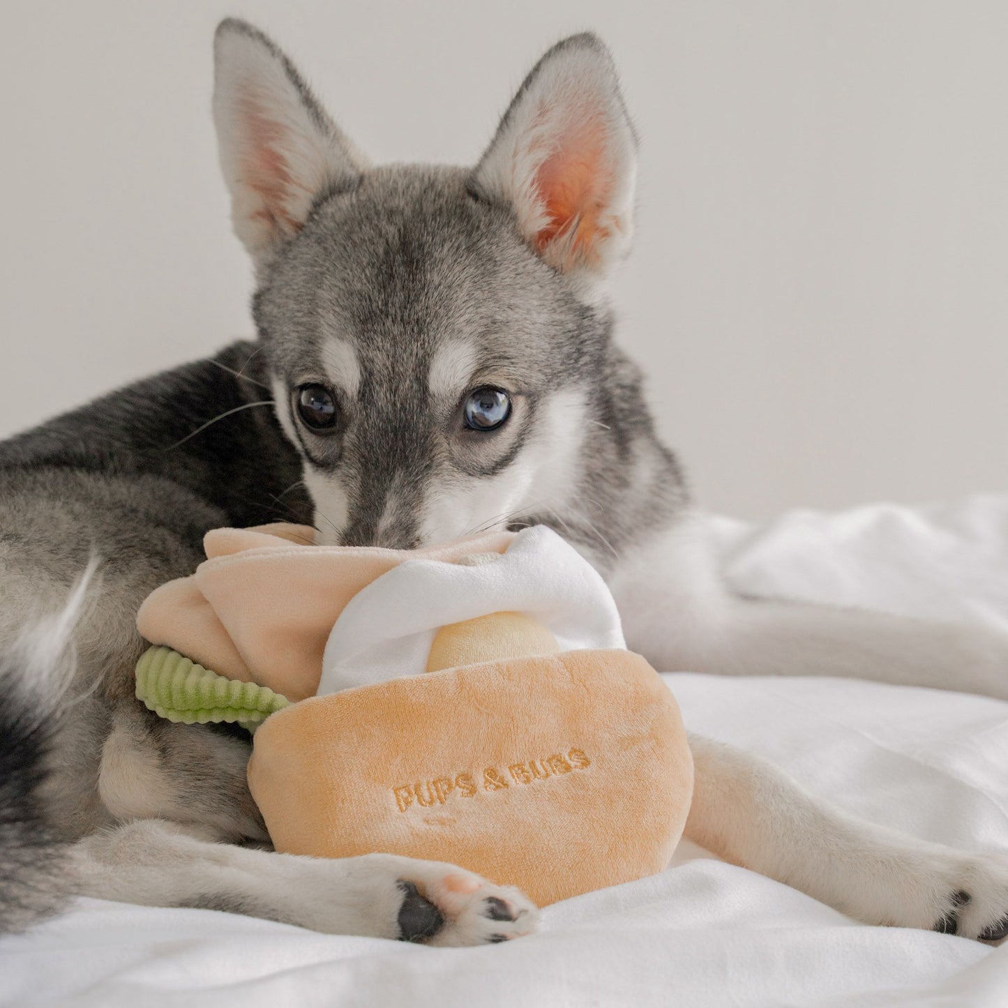 PITA POCKET // nosework toy