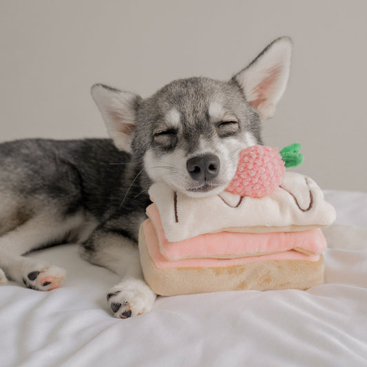 STRAWBERRY MILLE-FEUILLE // nosework toy