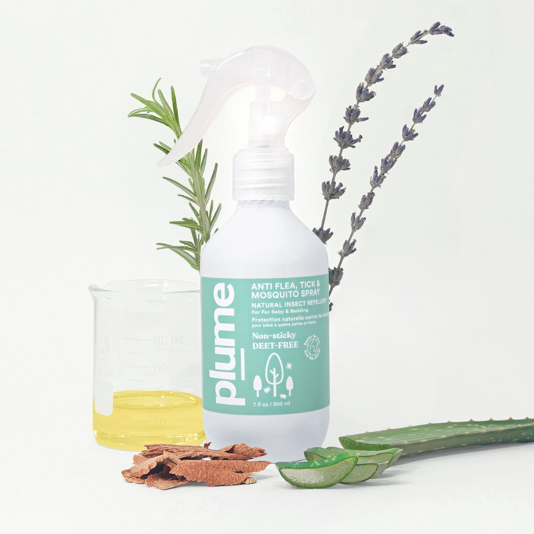 Insect Repellent // Non-Sticky & DEET FREE