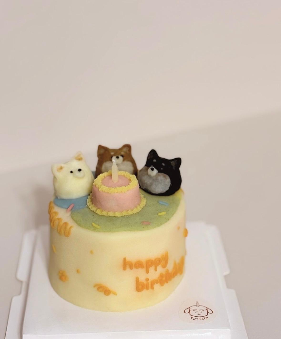 ROUND CAKE WITH BUBBLE HEAD // pet cake