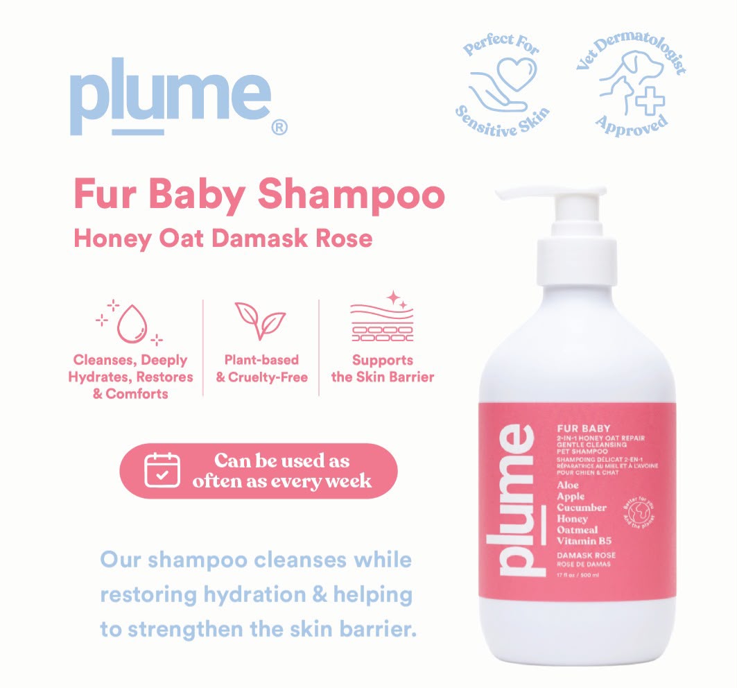 Pet Shampoo for Sensitive Skin // honey oat damask rose
