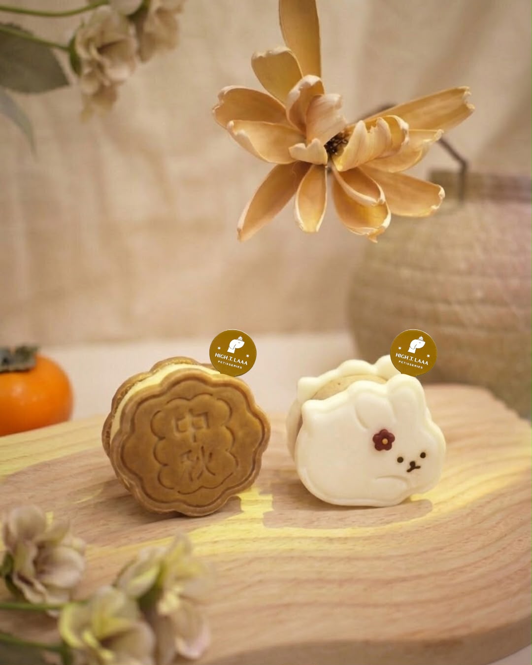 MOONCAKE // pet cake