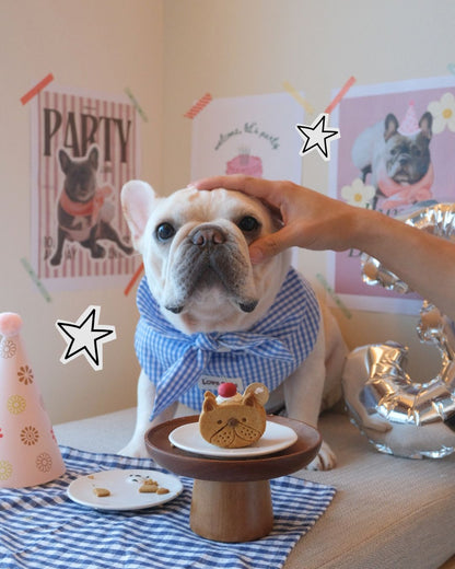 DAILY SPECIAL // pet cake