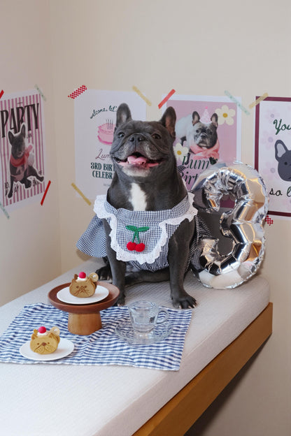DAILY SPECIAL // pet cake