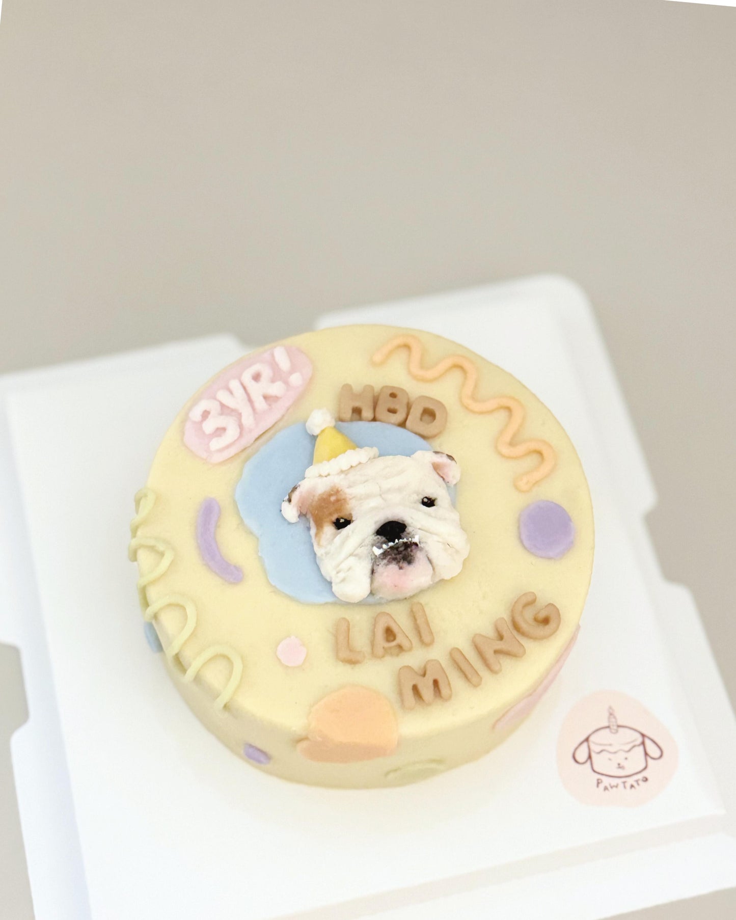 2D ILLUSTRATED CAKE // pet cake