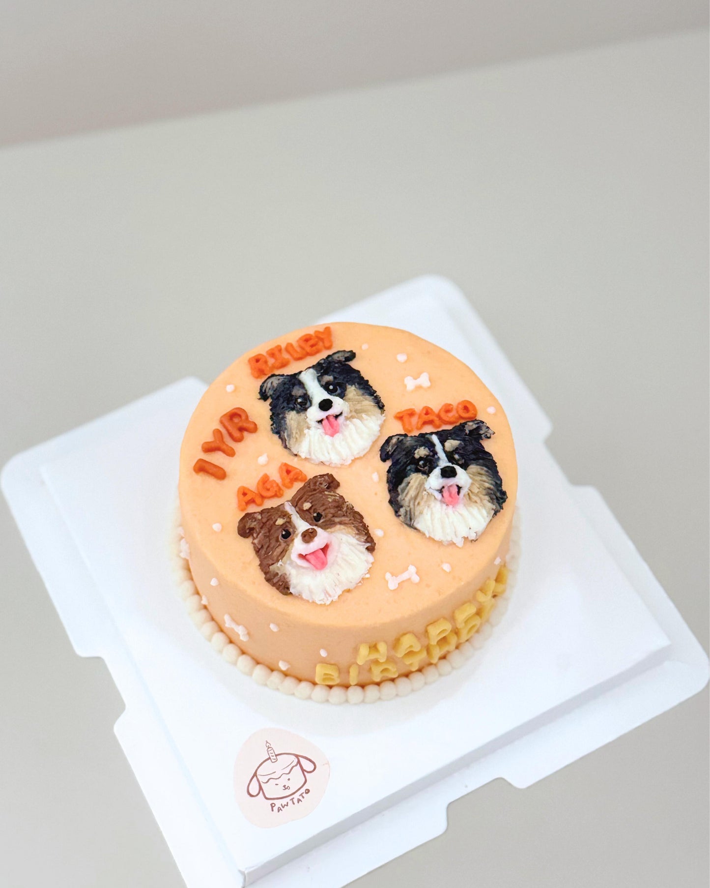 2D ILLUSTRATED CAKE // pet cake