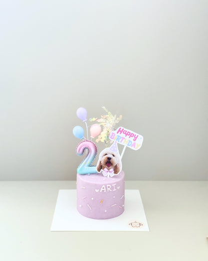 TOPPER CAKE // pet cake