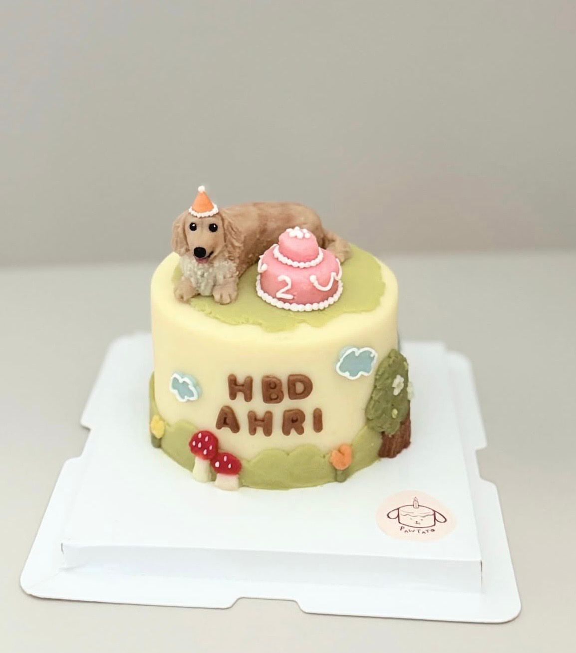 3D FULL BODY CAKE // pet cake