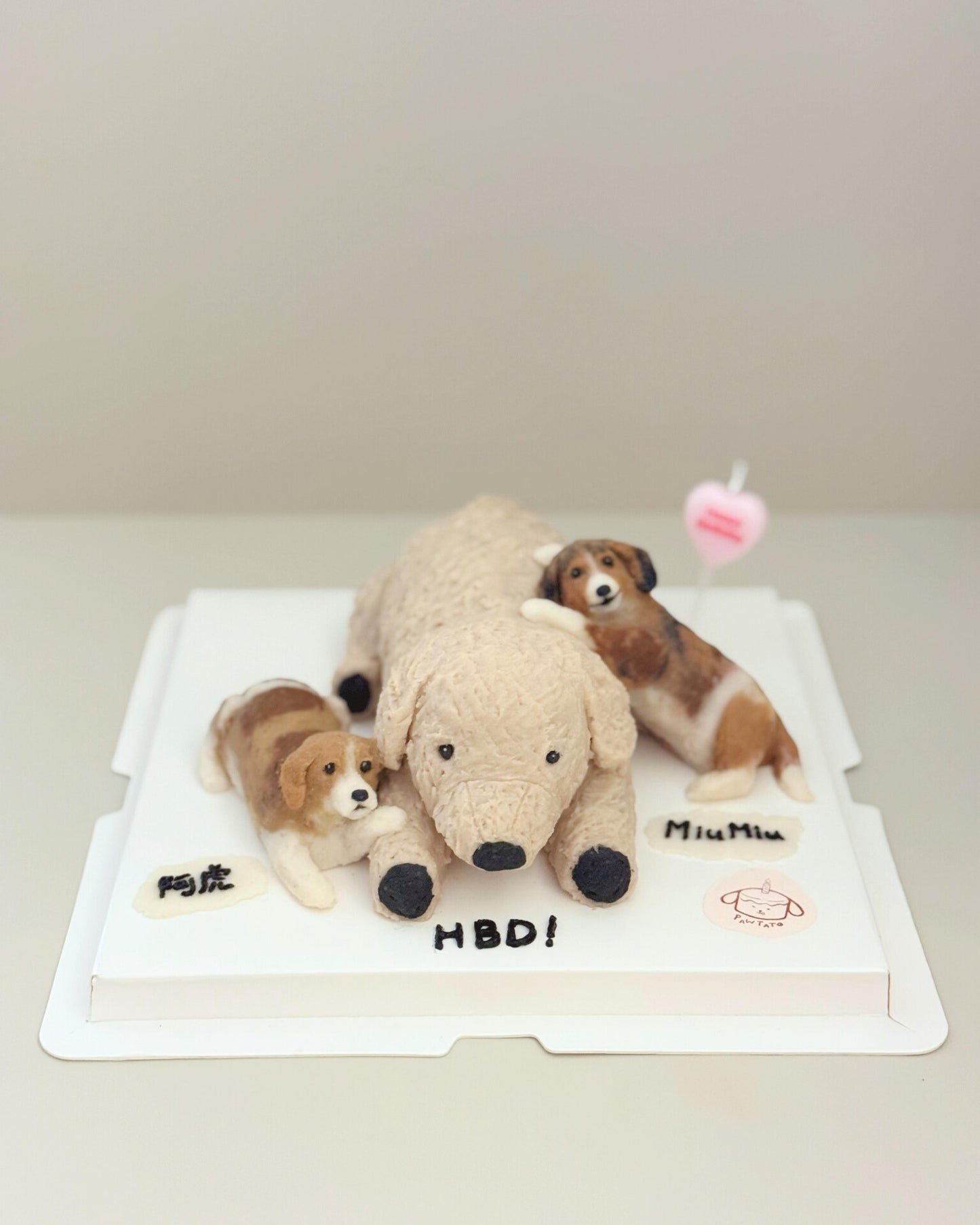 3D SPECIALTY CAKE // pet cake