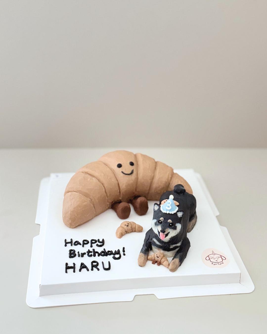 3D SPECIALTY CAKE // pet cake