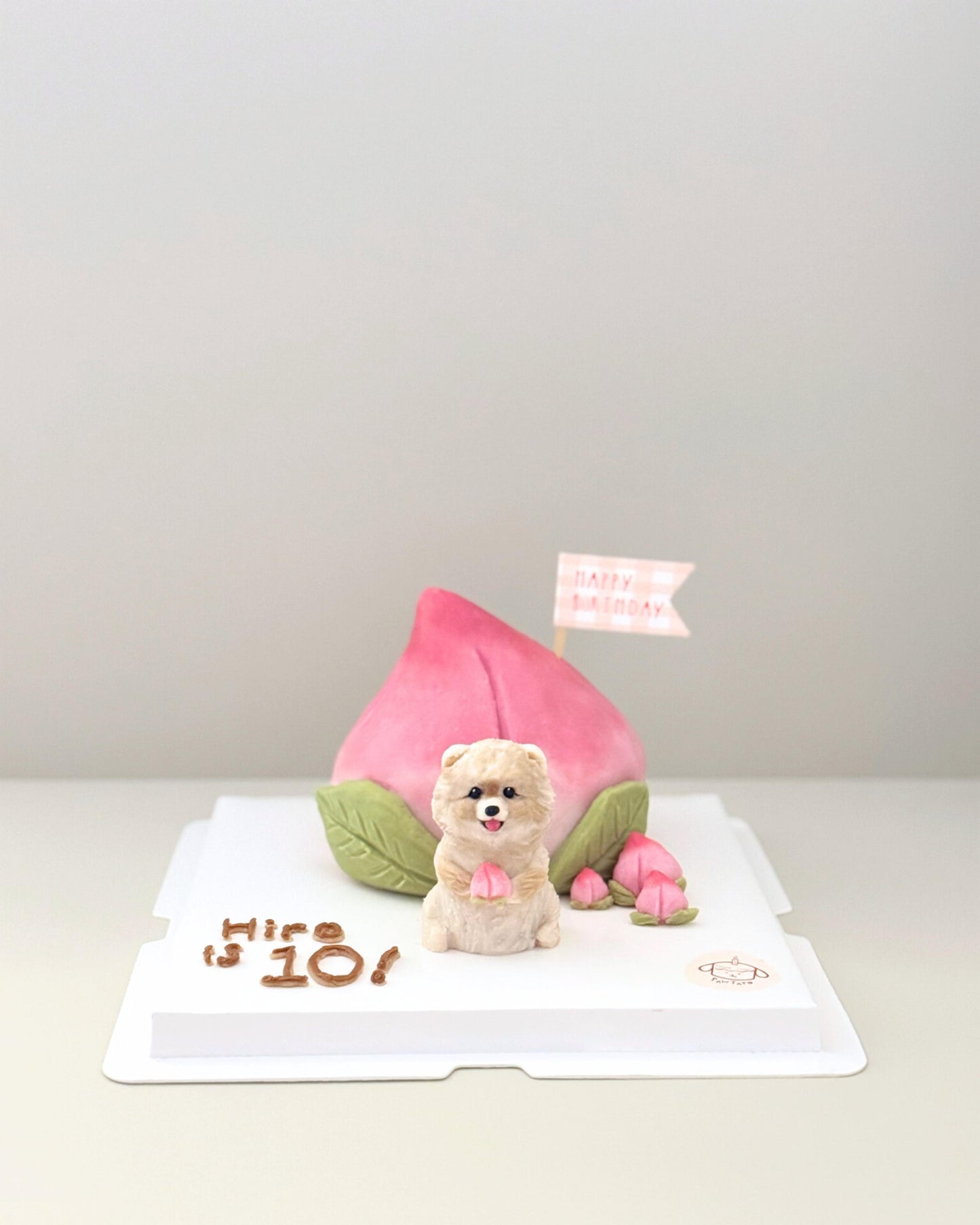 3D SPECIALTY CAKE // pet cake