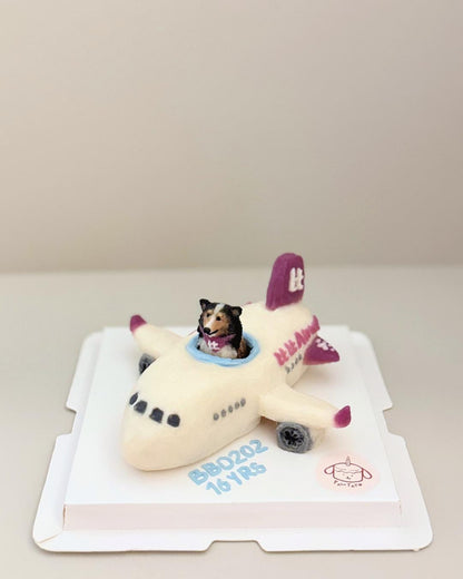 FULLY CUSTOM CAKE // pet cake