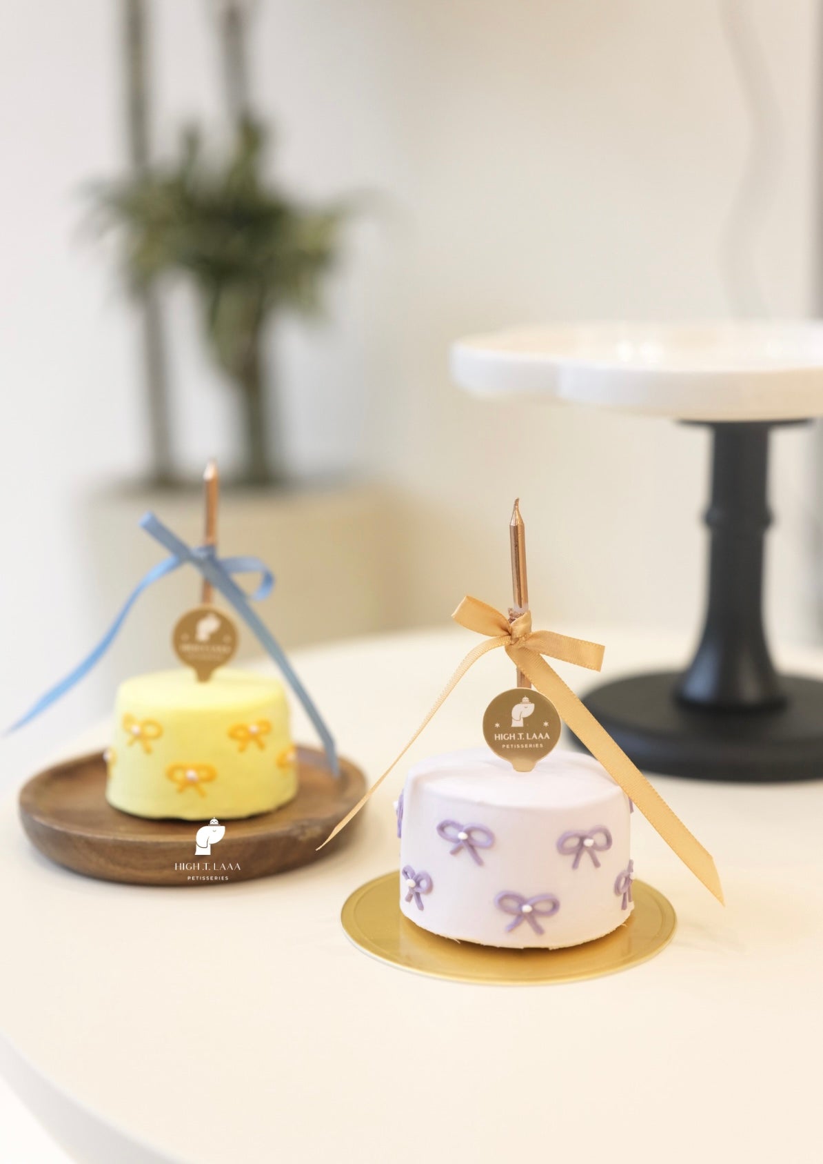 BOWTIFUL // pet cake
